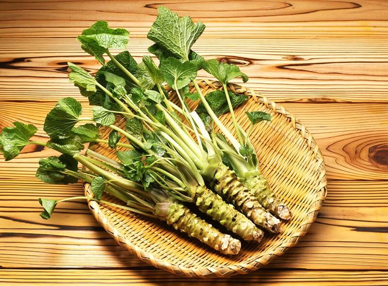 Giá trị dinh dưỡng của wasabi